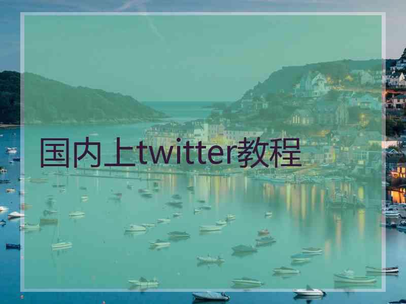 国内上twitter教程