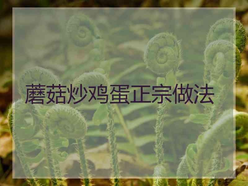 蘑菇炒鸡蛋正宗做法