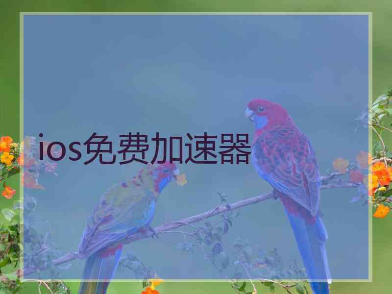 ios免费加速器