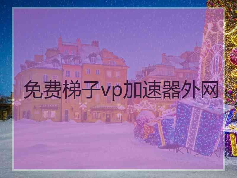 免费梯子vp加速器外网