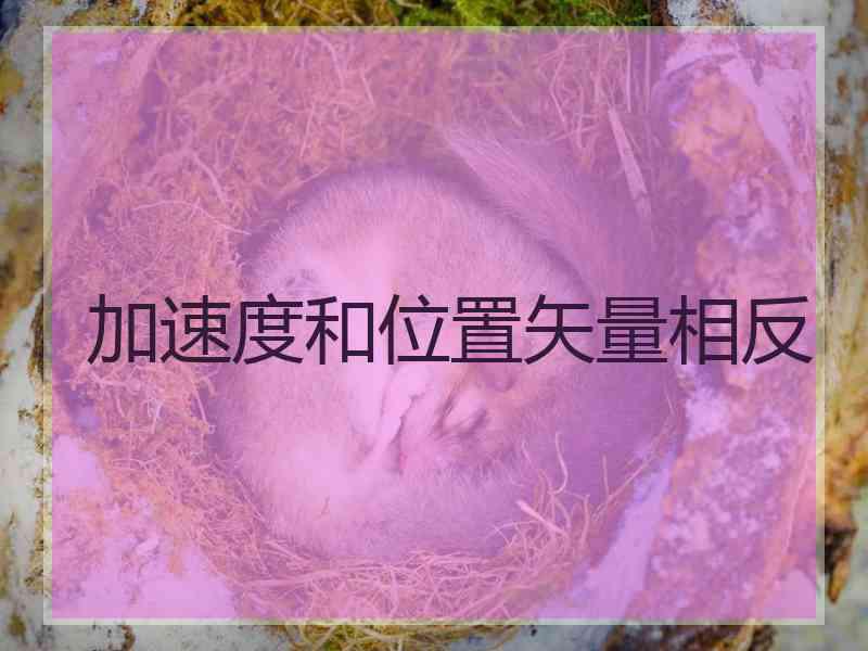 加速度和位置矢量相反