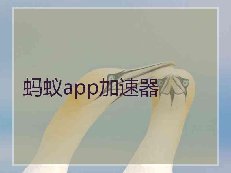 蚂蚁app加速器