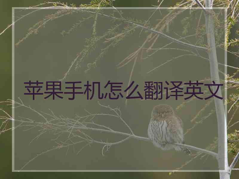 苹果手机怎么翻译英文