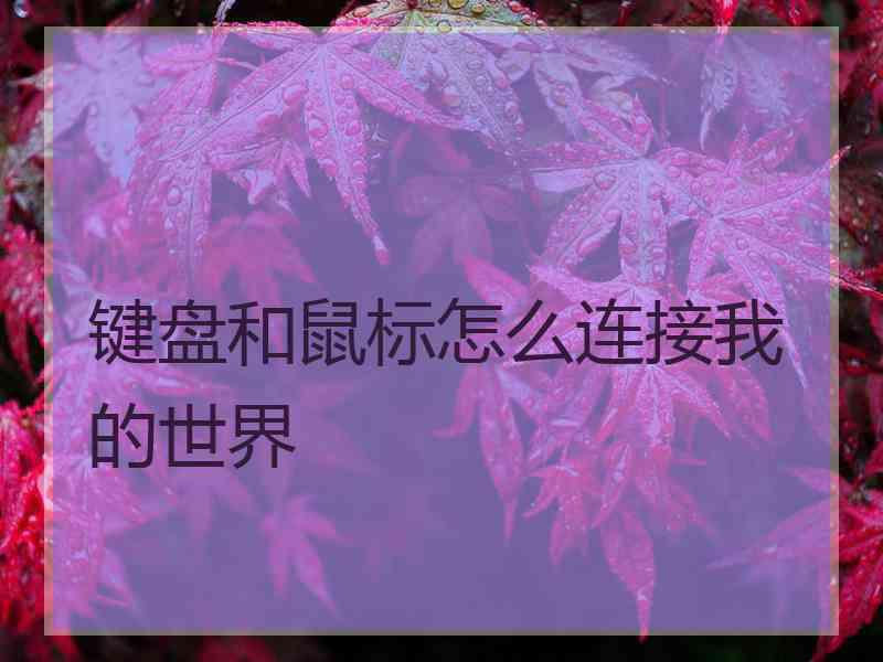 键盘和鼠标怎么连接我的世界