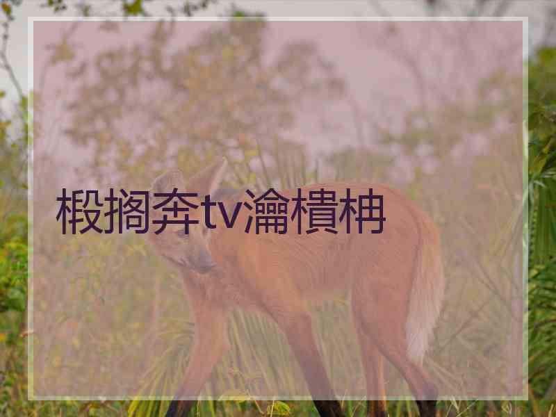 椴搁奔tv瀹樻柟