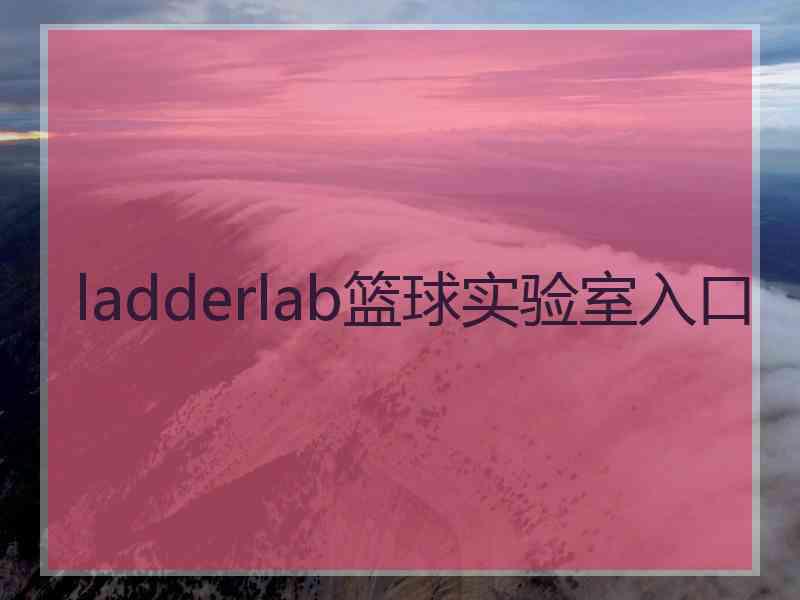 ladderlab篮球实验室入口