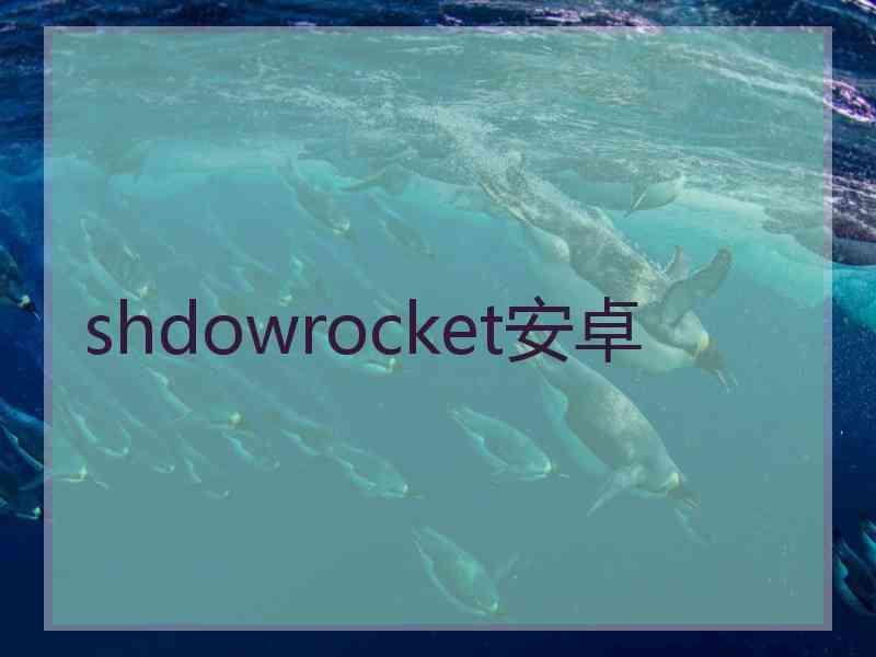 shdowrocket安卓