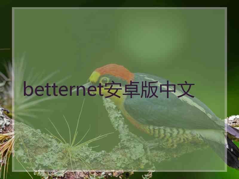 betternet安卓版中文