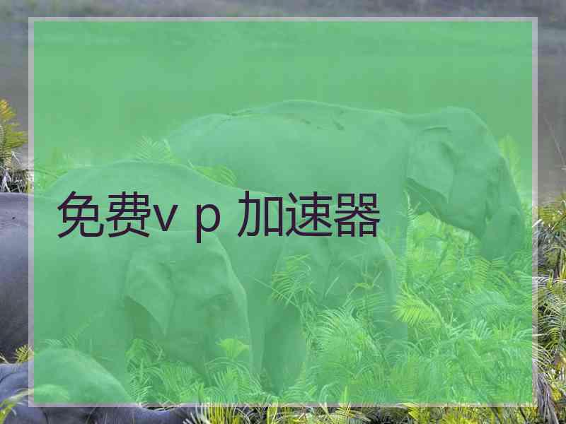 免费v p 加速器