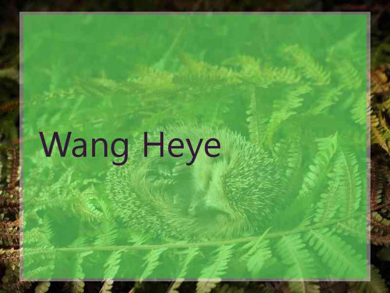 Wang Heye