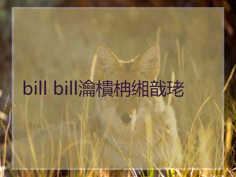 bill bill瀹樻柟缃戠珯