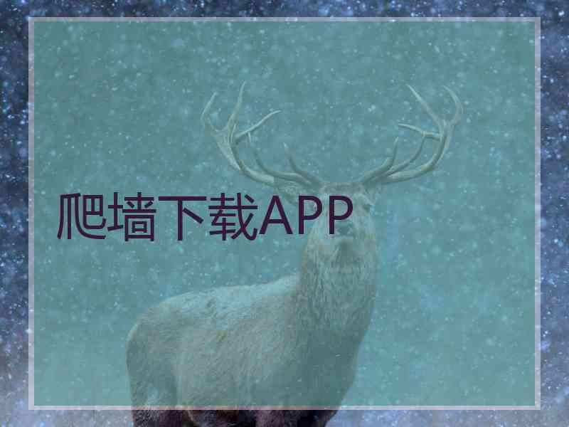 爬墙下载APP