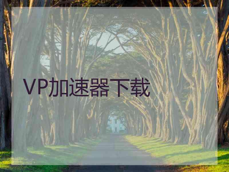 VP加速器下载