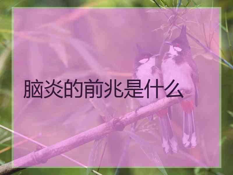 脑炎的前兆是什么