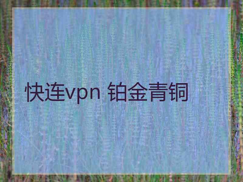 快连vpn 铂金青铜