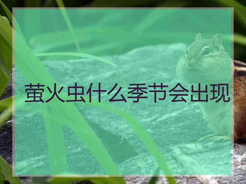 萤火虫什么季节会出现