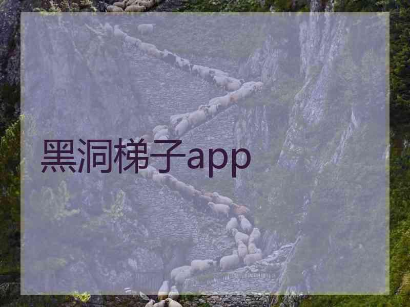 黑洞梯子app