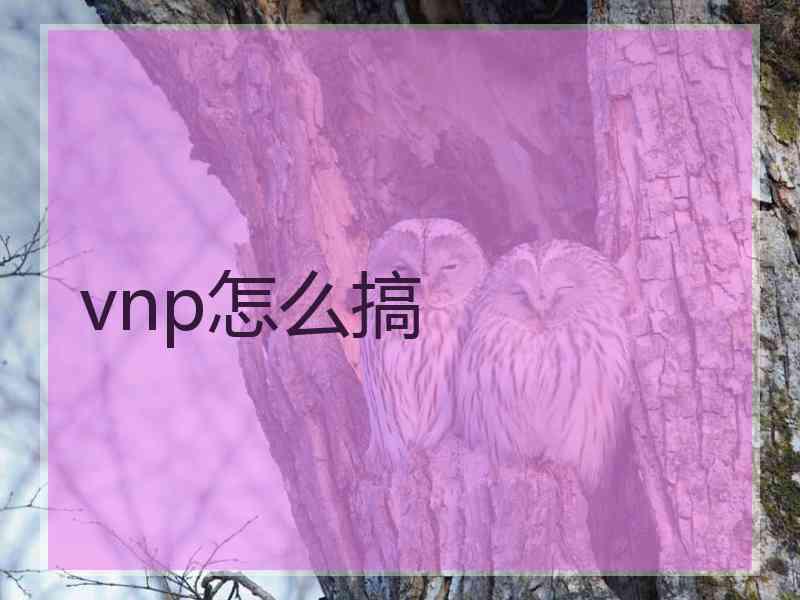 vnp怎么搞