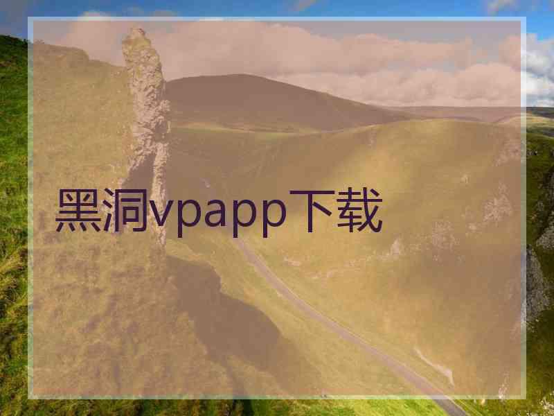 黑洞vpapp下载