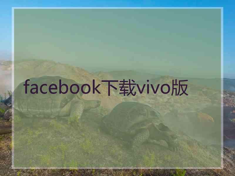 facebook下载vivo版