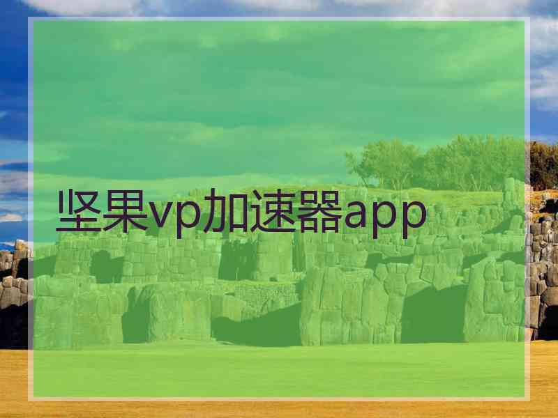 坚果vp加速器app