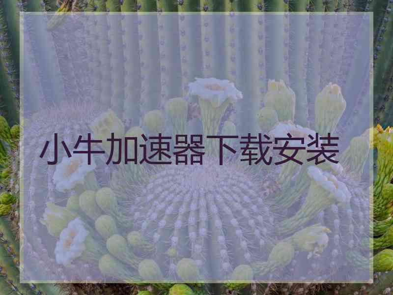 小牛加速器下载安装