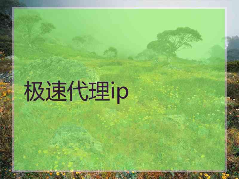 极速代理ip