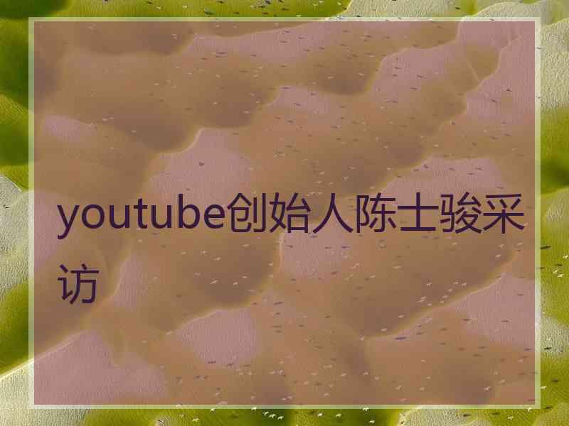 youtube创始人陈士骏采访