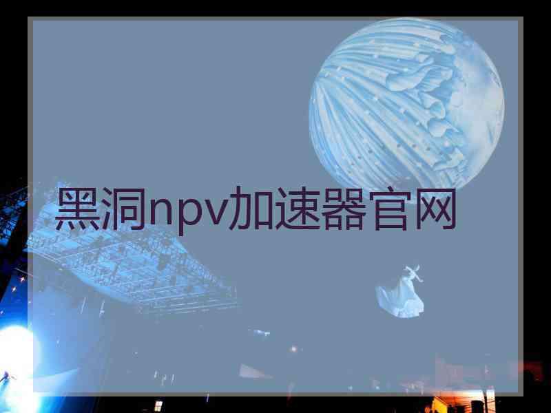 黑洞npv加速器官网