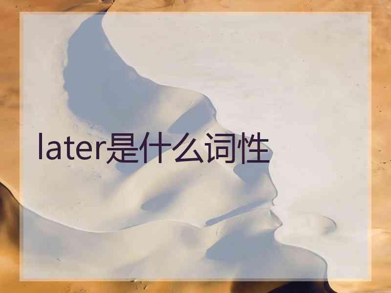 later是什么词性