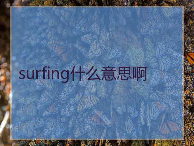 surfing什么意思啊