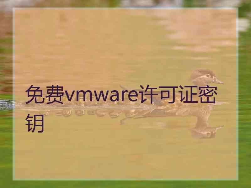 免费vmware许可证密钥