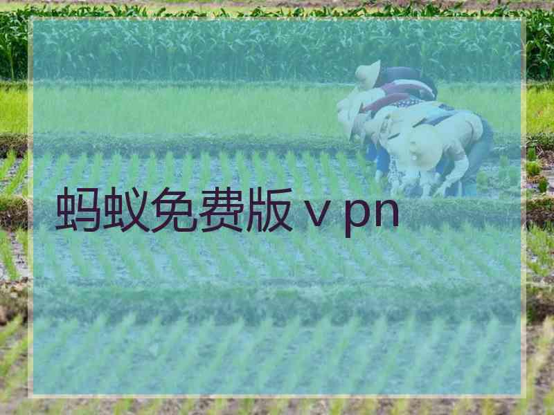 蚂蚁免费版ⅴpn