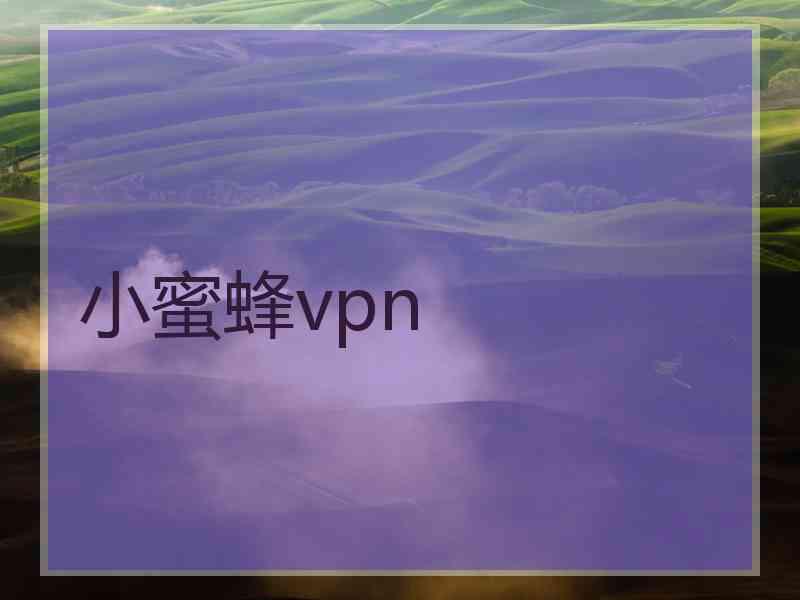 小蜜蜂vpn