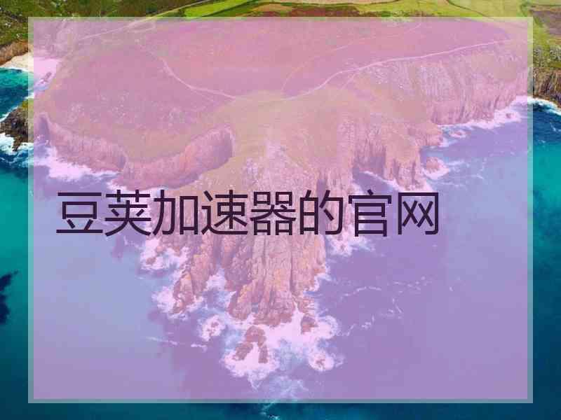 豆荚加速器的官网