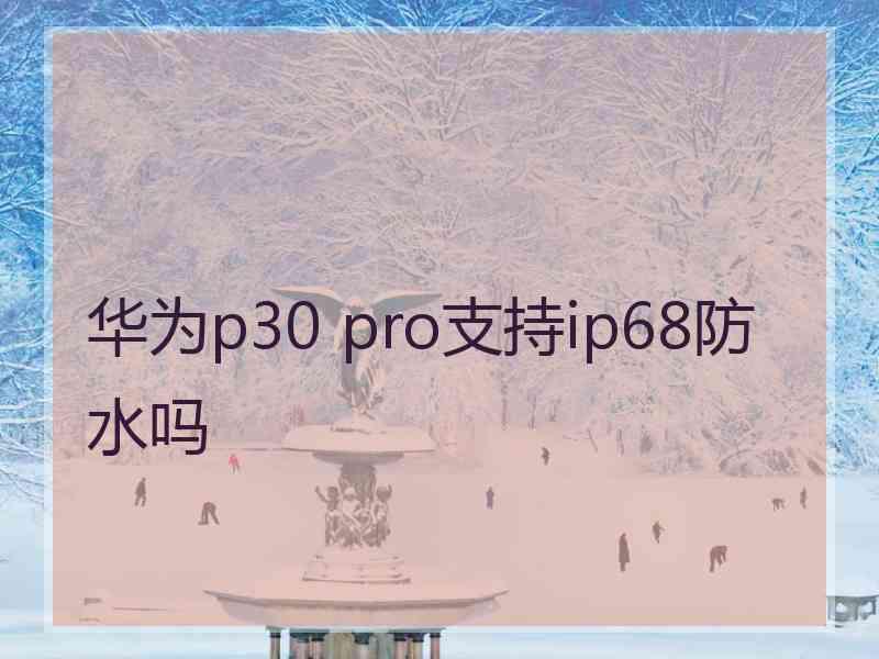 华为p30 pro支持ip68防水吗