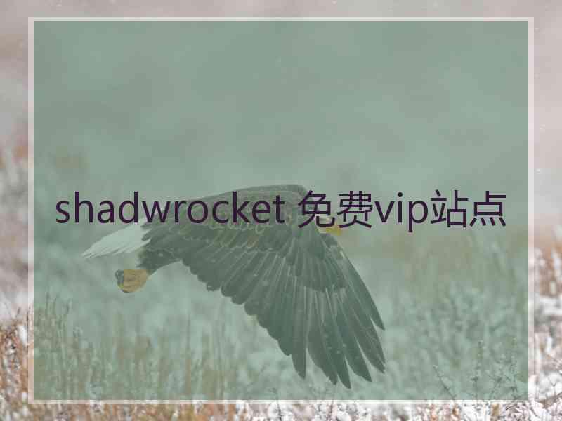 shadwrocket 免费vip站点