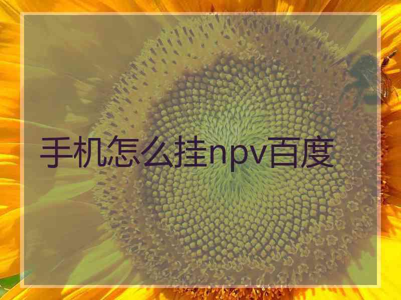 手机怎么挂npv百度