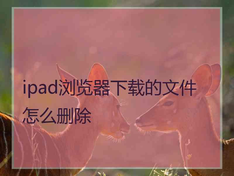 ipad浏览器下载的文件怎么删除