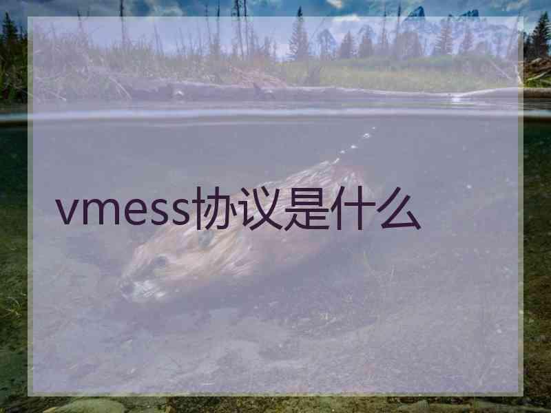 vmess协议是什么