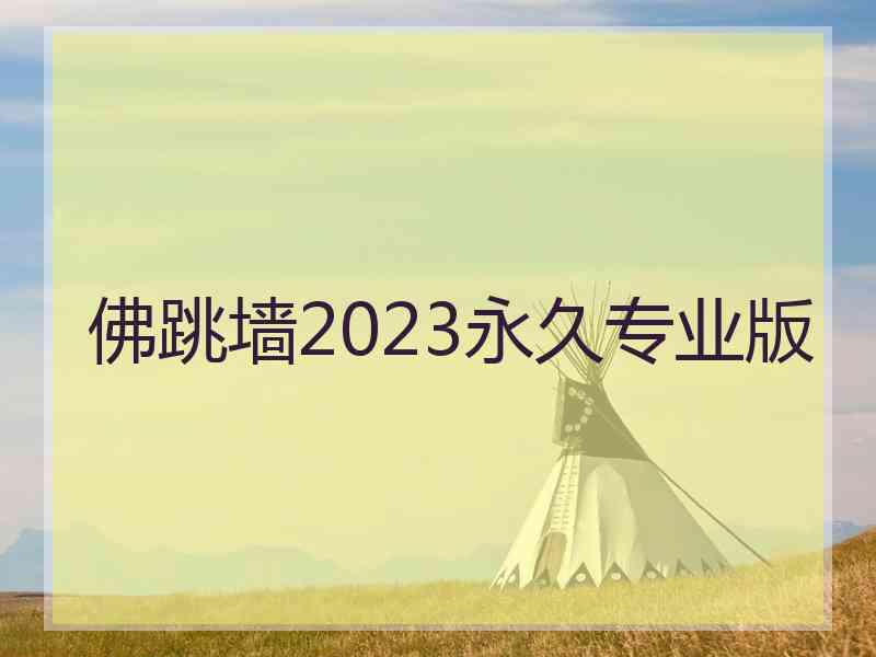 佛跳墙2023永久专业版