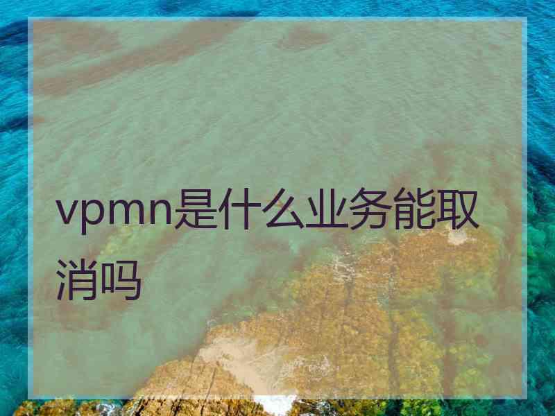 vpmn是什么业务能取消吗