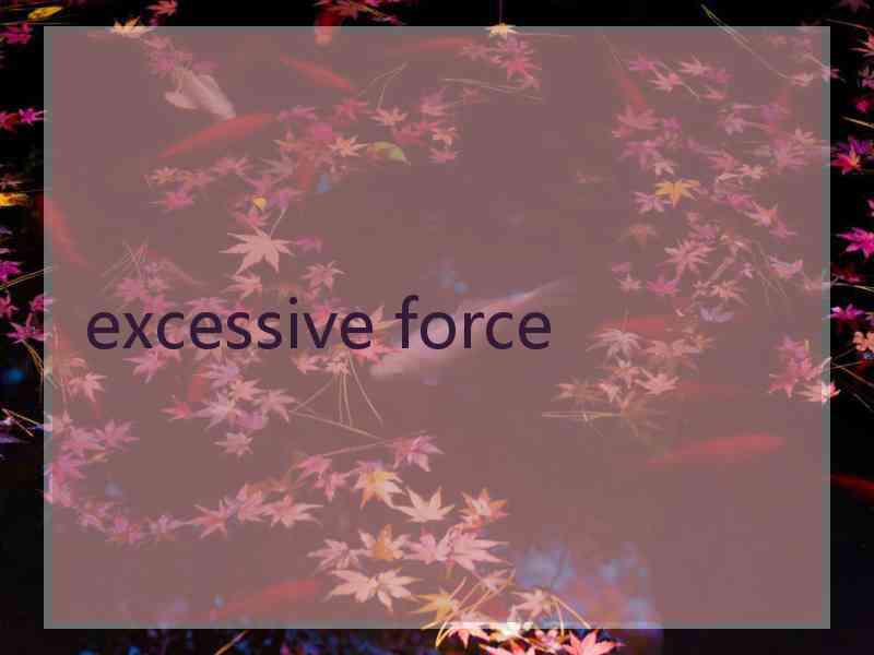 excessive force