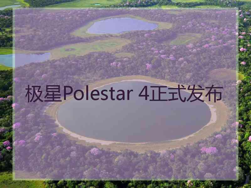 极星Polestar 4正式发布