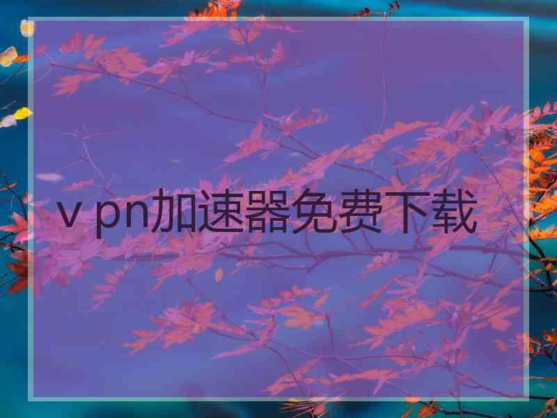 ⅴpn加速器免费下载