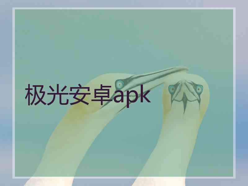 极光安卓apk