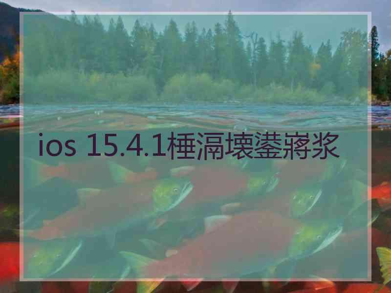 ios 15.4.1棰滆壊鍙嶈浆