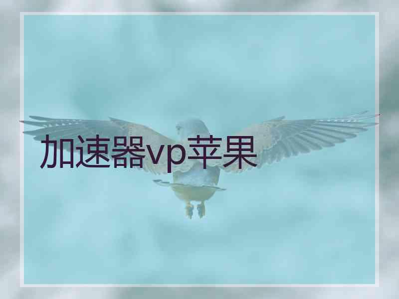 加速器vp苹果