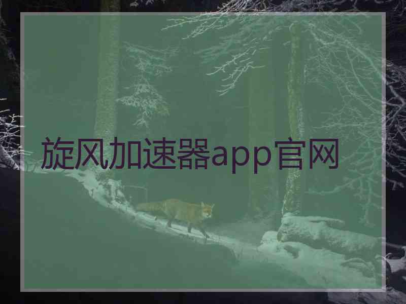 旋风加速器app官网