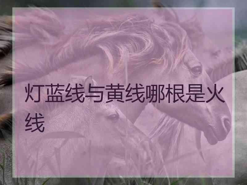 灯蓝线与黄线哪根是火线